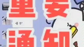 河南村长爆料视频大全,揭秘乡村生活百态  第1张