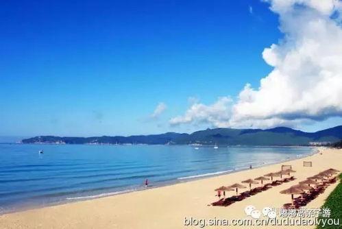 海南海边最新消息爆料,神秘海岛发现珍稀生物，旅游胜地再掀热潮  第3张