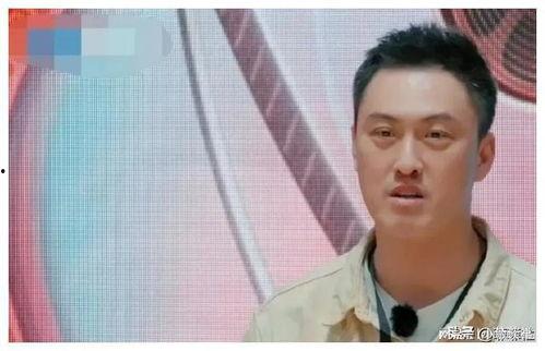 娱乐圈吃瓜爆料最新章节,最新章节揭秘明星幕后真相  第3张